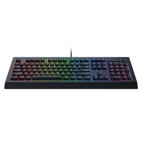 کیبورد مکانیکی گیمینگ ریزر مدل Razer Cynosa V2