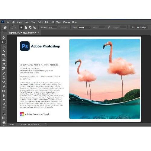 Adobe Photoshop CC 2021 + Collection 64-bit