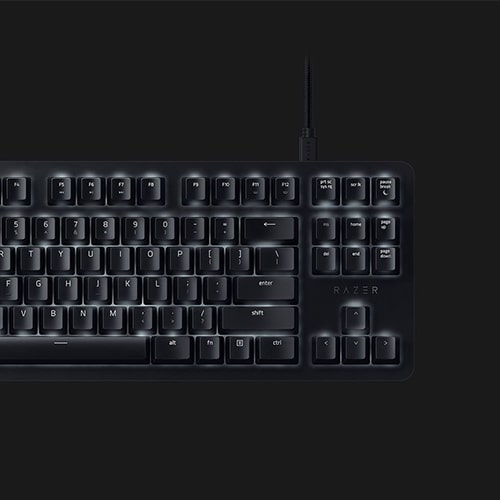 کیبورد مکانیکی گیمینگ ریزر مدل Razer Blackwidow Lite Mercury