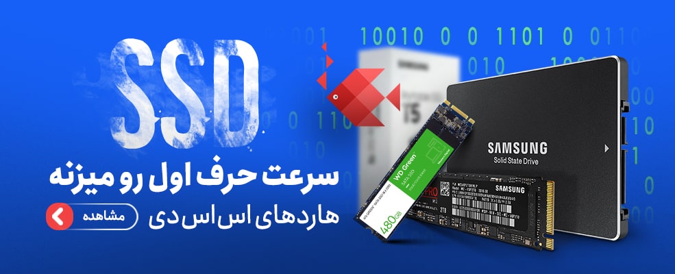 اس اس دی